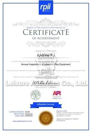 Mini Inflatable Bouncy Castle A Frame Purple Teal With Roof